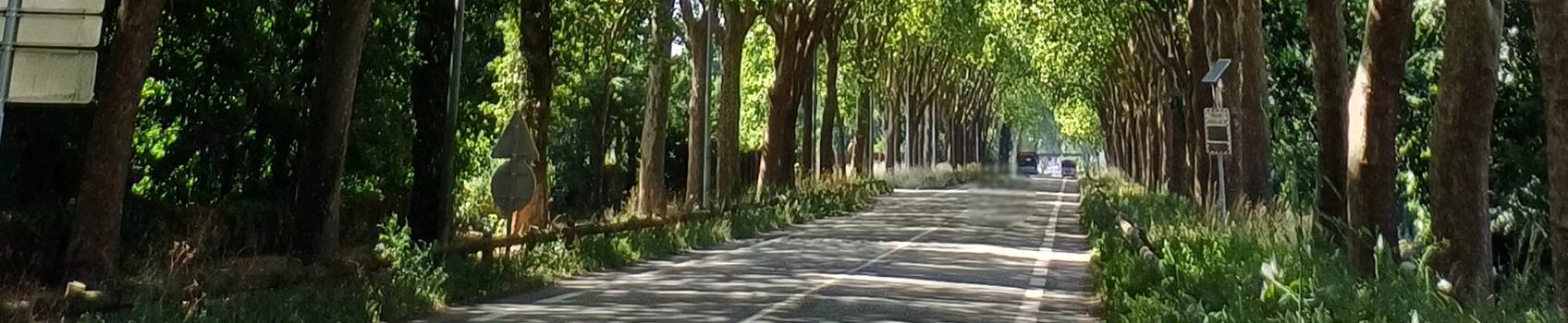 Diaporama